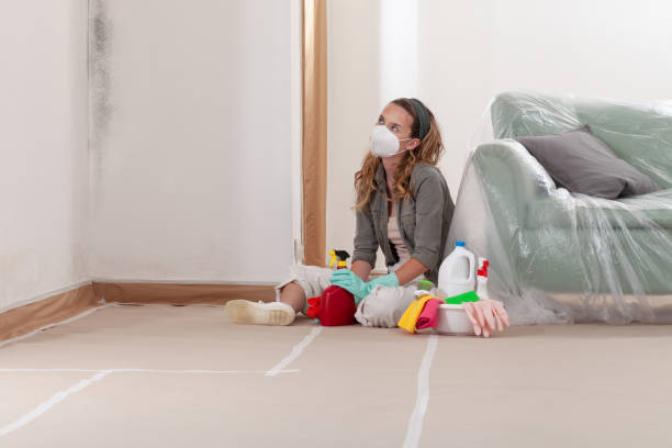 Reliable Mold Testing contractor in Princeton, IL by WQB Mold Removal